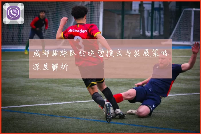 成都排球队的运营模式与发展策略深度解析