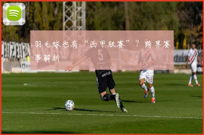 羽毛球也有“西甲联赛”？跨界赛事解析