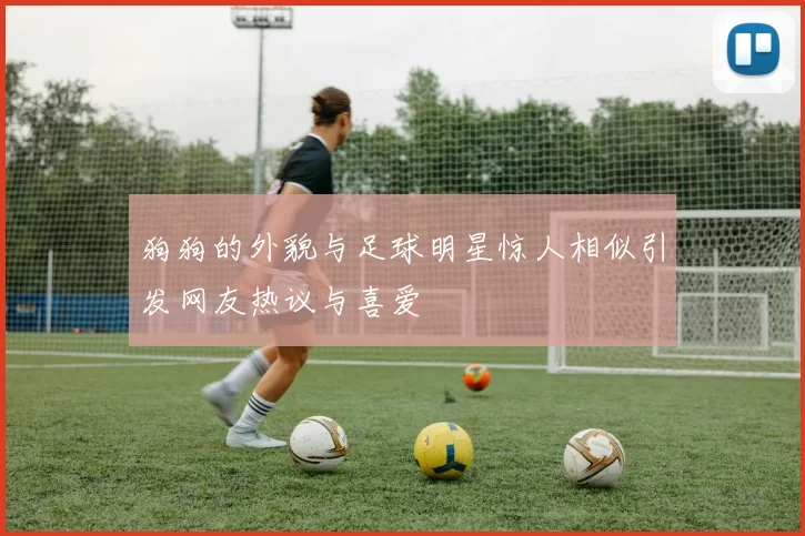 狗狗的外貌与足球明星惊人相似引发网友热议与喜爱