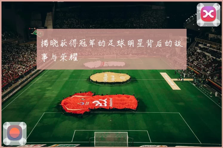 揭晓获得冠军的足球明星背后的故事与荣耀
