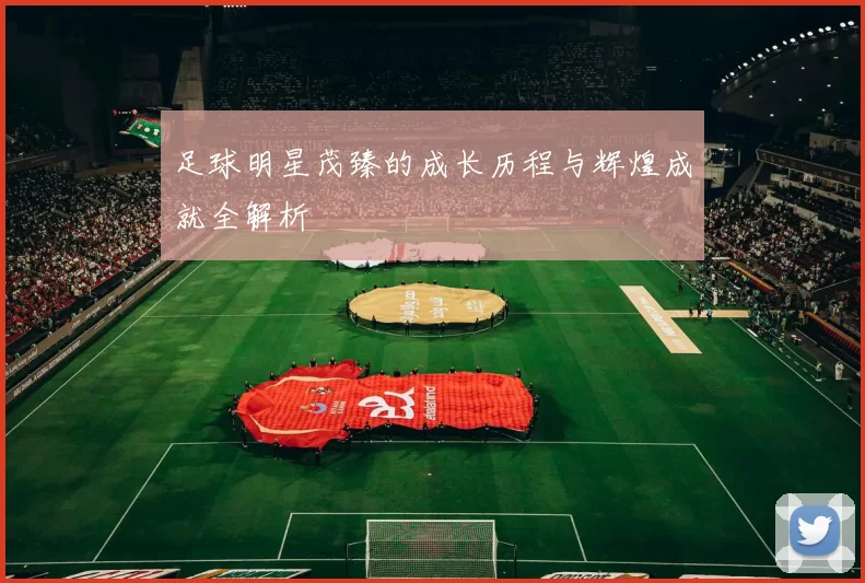 足球明星茂臻的成长历程与辉煌成就全解析