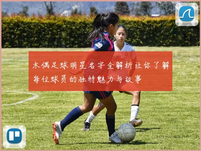 木偶足球明星名字全解析让你了解每位球员的独特魅力与故事