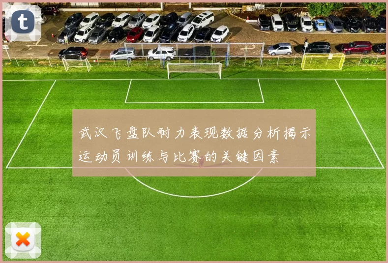 武汉飞盘队耐力表现数据分析揭示运动员训练与比赛的关键因素