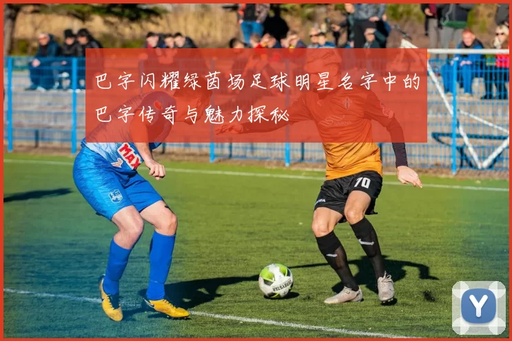 巴字闪耀绿茵场足球明星名字中的巴字传奇与魅力探秘